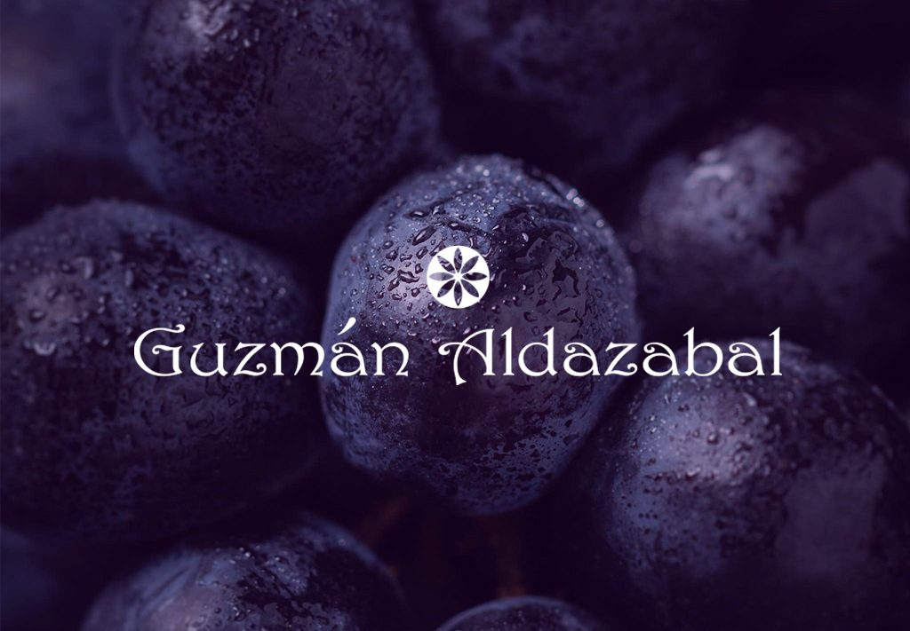 Diseño y desarrollo de página web para la bodega Gúzman Aldazabal, situada en Rioja Alavesa y con vinos D.O Rioja